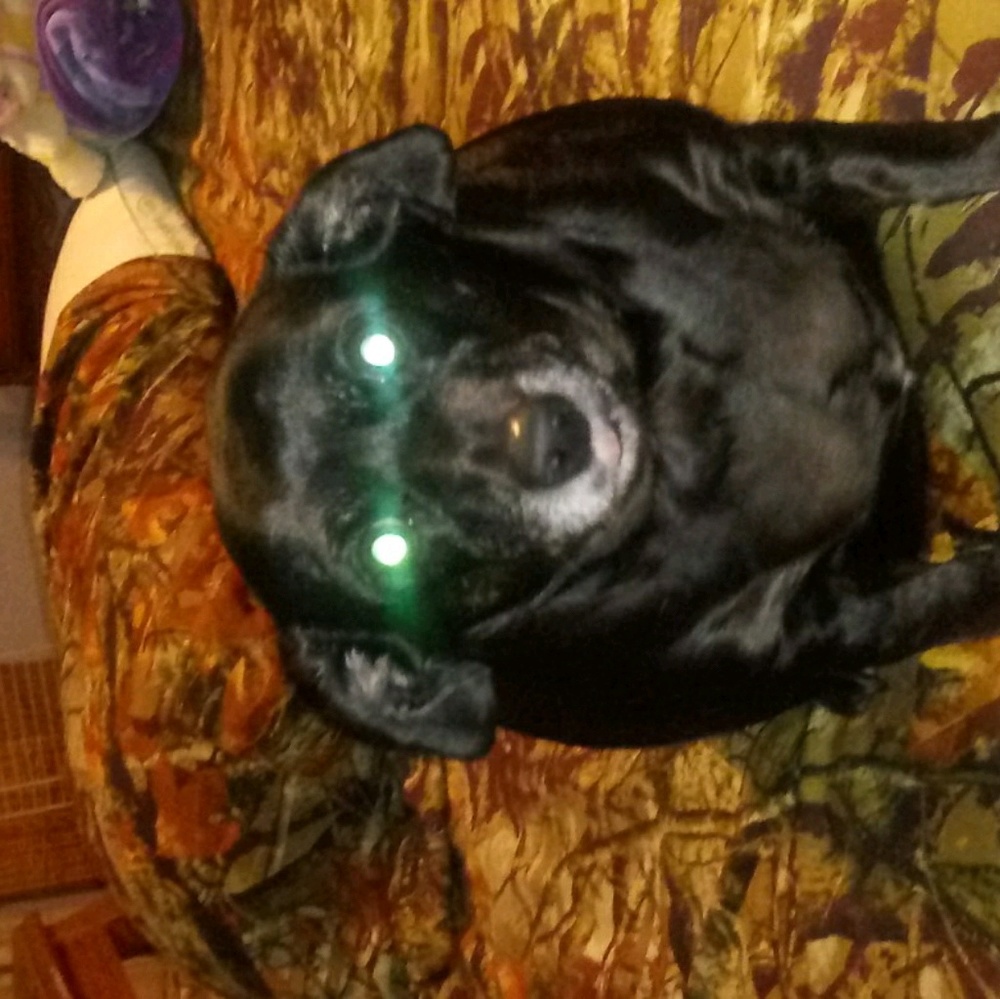 Meet your Posher, Vernon